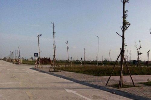 Năm 2021, Hà Nội dự kiến thu về hơn 23.600 tỷ đồng từ đấu giá đất