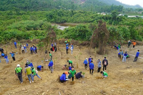 Sinh viên Đà Nẵng trồng cây xanh gây dựng Công viên khoa học