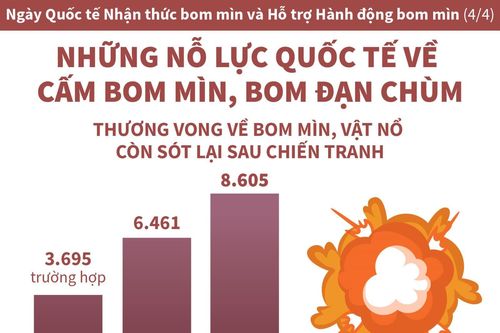 Những nỗ lực quốc tế về cấm bom mìn, bom đạn chùm