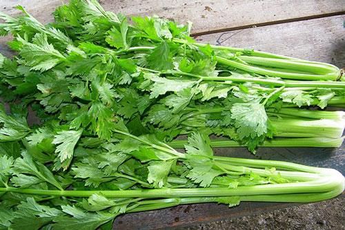 Quên rau cải bó xôi đi, đây mới là loại rau 'cực phẩm' ngăn ngừa bệnh tật, giúp giảm cân hiệu quả