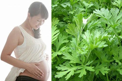 Thực phẩm mẹ bầu ăn vào sẽ gây sảy thai tức khắc