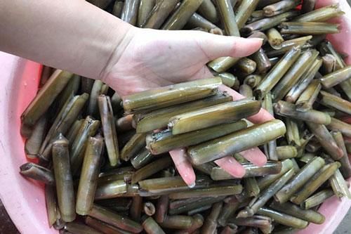 Tuyệt chiêu chọn ốc móng tay ngon, nhiều thịt