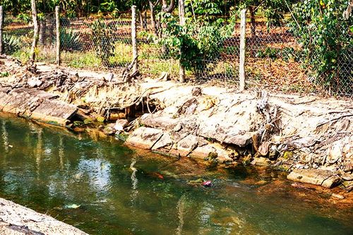 Mương thủy lợi sạt lở nhiều đoạn