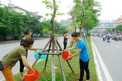 Phê duyệt đề án trồng một tỷ cây xanh