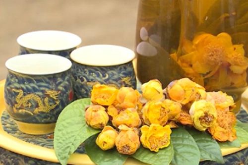 Trà hoa vàng Ba Chẽ