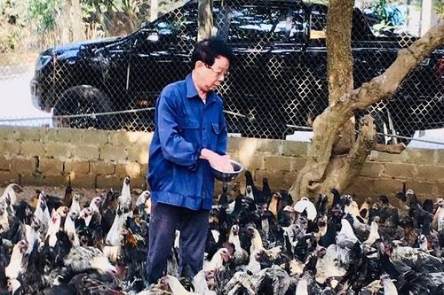 Hội Nông dân Quốc Oai: Tích cực hỗ trợ hội viên làm giàu