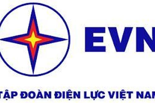 Phát triển EVN thành Tập đoàn kinh tế mạnh