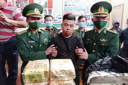 Phá chuyên án, bắt giữ gần 350 kg ma túy