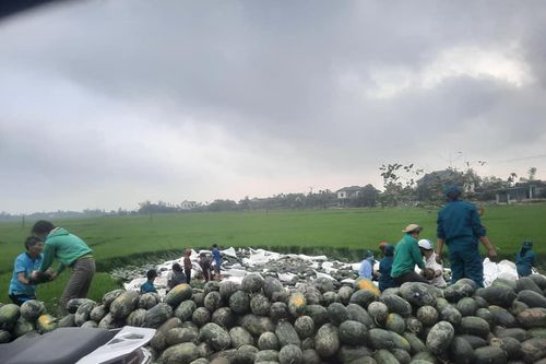 Hà Tĩnh: Xe chở 29 tấn dưa hấu bị lật, người dân xúm vào mua ủng hộ