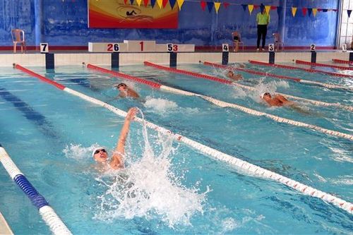 Hơn 250 vận động viên tham gia Giải bơi-lặn vô địch quốc gia bể 25m
