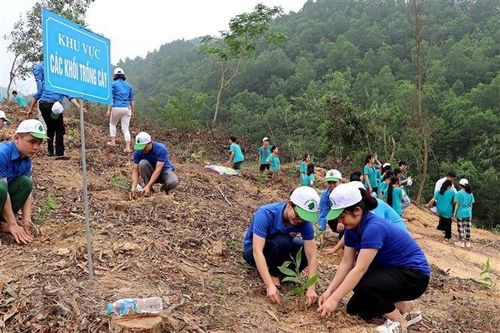 Phê duyệt Đề án trồng 1 tỷ cây xanh giai đoạn 2021-2025