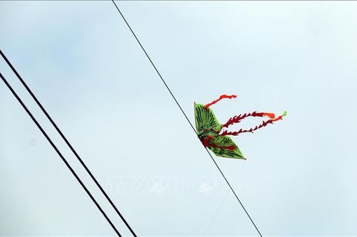 Mất điện vì diều