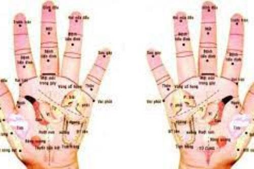 3 huyệt vị vô cùng quan trọng trên bàn tay và cách bấm huyệt bàn tay chữa bệnh cần ghi nhớ