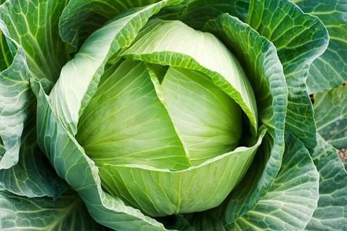 Những thực phẩm là 'khắc tinh' của mụn trứng cá