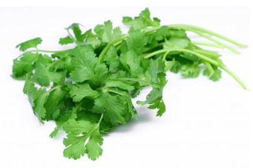 Trị tàn nhang nhang chóng với rau mùi