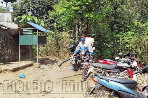 Chủ động phòng chống dịch bệnh