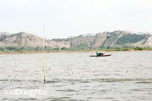 Hỗ trợ ngư dân chuyển đổi nghề