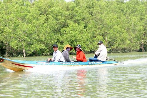 Hoàn thiện đề án cho thuê môi trường rừng