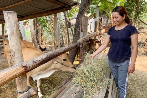 Ia Pa: 'Đòn bẩy' thúc đẩy phát triển kinh tế gia đình