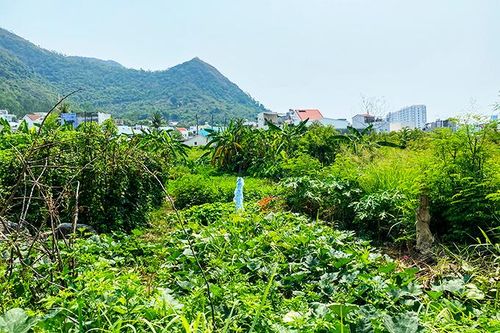 Khu nhà ở hộ gia đình quân nhân Nhà máy Z753: Sẽ sớm giải quyết giao đất