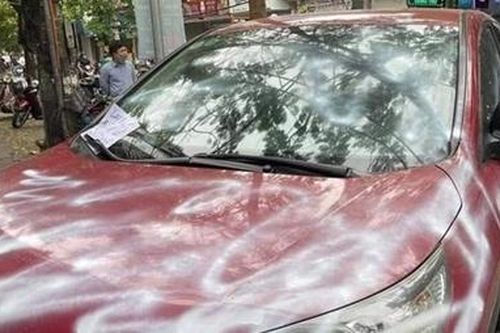 Điều tra vụ Honda CR-V đỗ trên vỉa hè bị xịt sơn