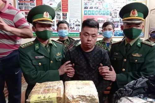 Bắt gần 350 kg ma túy trong đường dây xuyên quốc gia