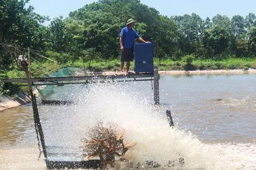 Đa dạng giải pháp phòng, chống dịch bệnh thủy sản