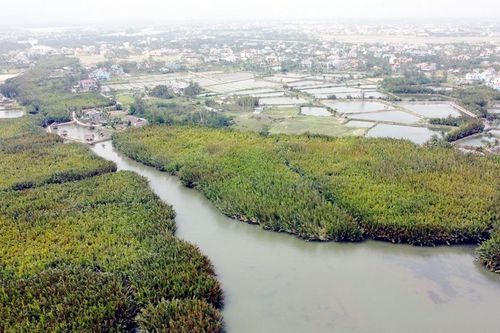 'Đánh thức' những dòng sông