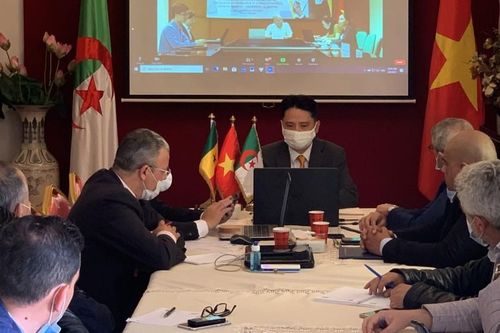 Khai thác tiềm năng hợp tác thương mại và đầu tư Việt Nam-Algeria-Senegal