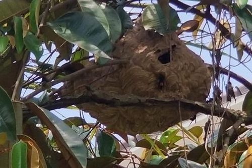 Đi dọn mộ Thanh minh, gia đình gặp bi kịch không ai ngờ