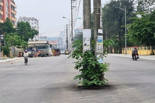 Hàng cột điện 'chình ình' giữa đường phố ven biển Sầm Sơn