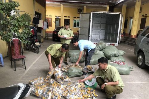 Hàng vạn gói chân gà nhập lậu đổ về Việt Nam