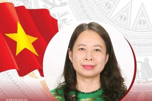 Bí thư Tỉnh ủy An Giang Võ Thị Ánh Xuân làm Phó Chủ tịch nước