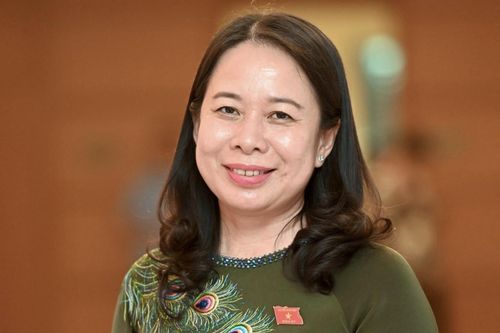 Bí thư Tỉnh ủy An Giang trở thành Phó Chủ tịch nước