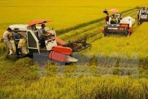 'Mở đường' cho hàng hóa của ĐB SCL đi xa – Bài 1: Xuất khẩu 'bí' đường ra
