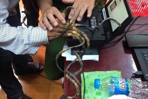Người đàn ông để móng tay hơn 40 năm, đi làm căn cước công dân mất gần 30 phút không lấy được dấu vân tay