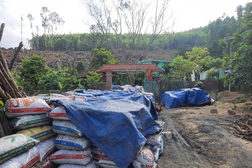 Quảng Nam: 'Than tặc' hoành hành xuyên đêm