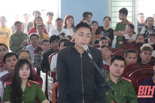Lời cảnh tỉnh về việc vi phạm các quy định trong khai thác, bảo vệ rừng