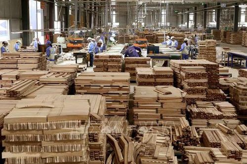 Khoảng trống pháp lý trong cung ứng gỗ hợp pháp