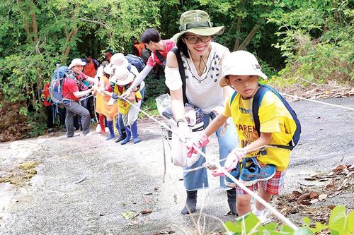 Cho thuê dịch vụ môi trường rừng: Tiềm năng chưa được khai phá