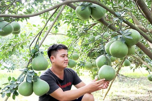 Thi đua làm giàu trong xây dựng nông thôn mới kiểu mẫu