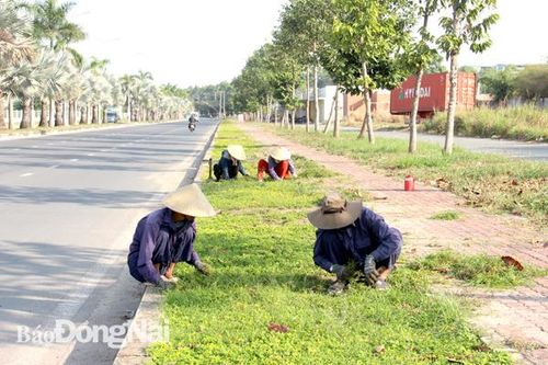 Chính phủ phê duyệt đề án trồng 1 tỷ cây xanh