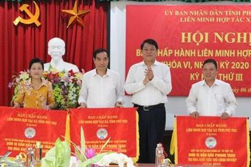 Tiếp tục nâng cao chất lượng hoạt động của kinh tế tập thể
