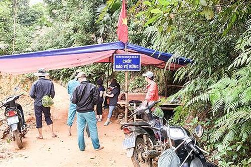 Rừng ở Gio Linh, Vĩnh Linh đang bị xâm hại. Bài 2: Cần nhiều giải pháp để bảo vệ rừng