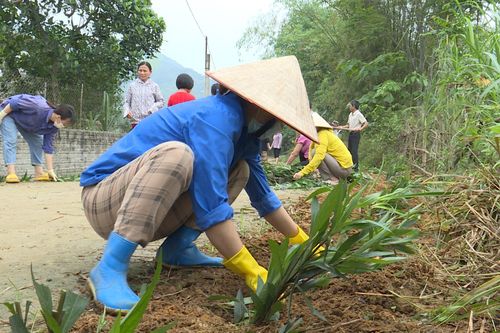 Hàm Yên lan tỏa phong trào giữ gìn môi trường nông thôn