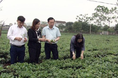 Thẩm định xóm nông thôn mới kiểu mẫu