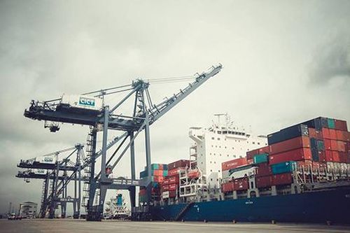 VIMC tiếp tục thanh lý 10 tàu biển