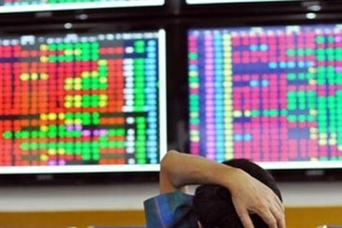 Chứng khoán Trí Việt muốn chuyển sang sàn HNX