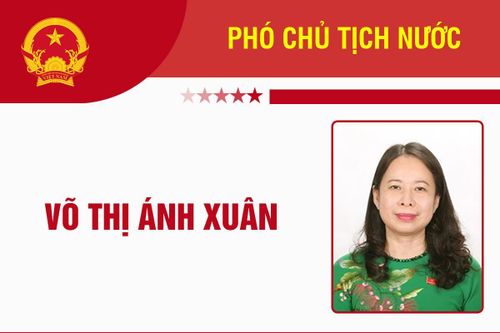 Infographic: Sự nghiệp Phó Chủ tịch nước Võ Thị Ánh Xuân