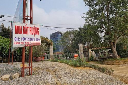 Cẩn trọng khi mua đất theo tin đồn